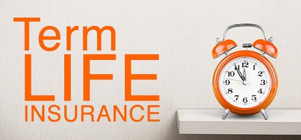 Term Life Insurance 101